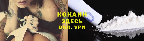 гашик Абинск