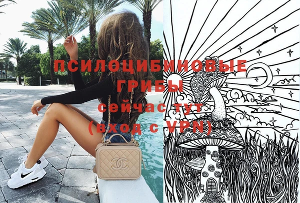 спиды Новодвинск