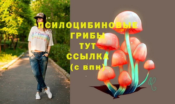 гашик Абинск