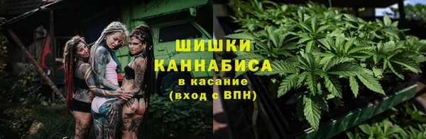 спиды Новодвинск