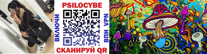 где купить наркоту Вилюйск Псилоцибиновые грибы Psilocybe